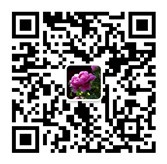 扫一扫 添加**好友