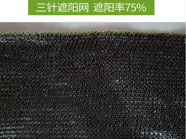 遮阳网